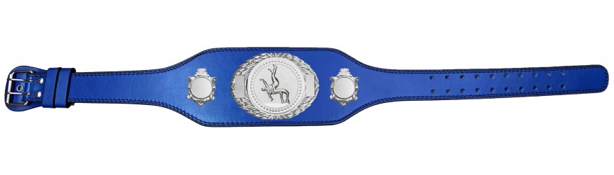 WRESTLING CHAMPIONSHIP BELT-BUD295/S/WRESTS-4 COLOURS